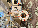 �V���{�C�t�F���[